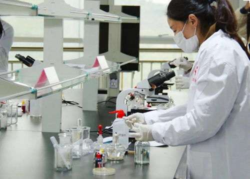 技能比武顯身手，舌尖安全共守護——平陰縣成功舉辦第四屆職業技能大賽農產品食品檢驗員競賽